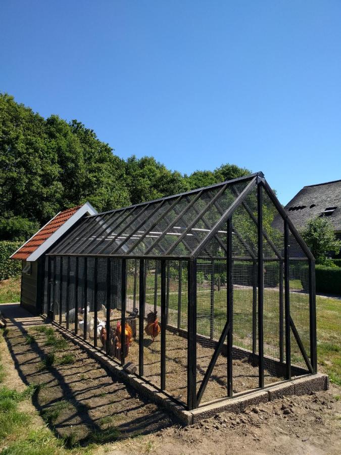 B&B Agnetenhoeve Overasselt Exterior foto