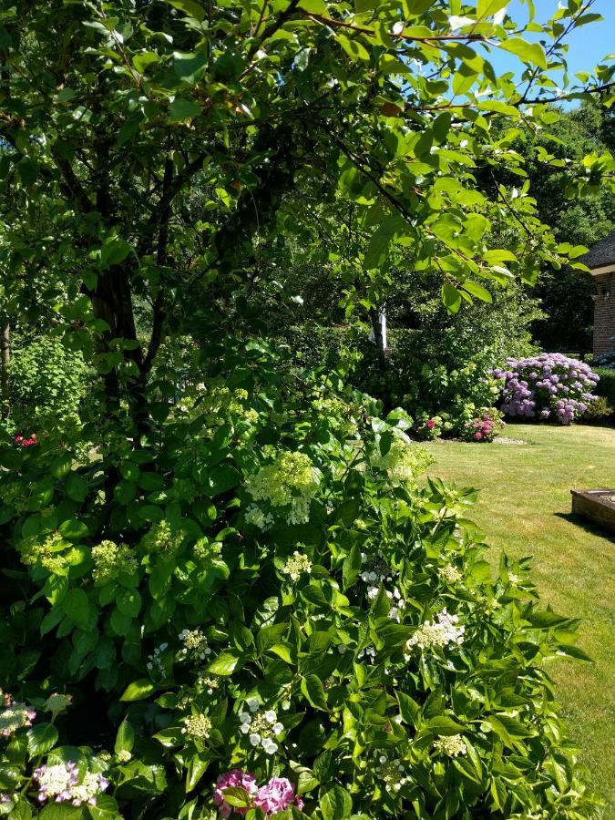 B&B Agnetenhoeve Overasselt Exterior foto